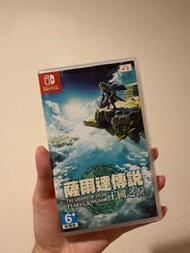 Switch Zelda 薩爾達傳說 王國之淚