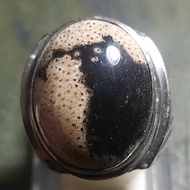 Fosil Kelor Putih - Cincin Batu Akik