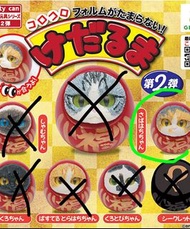 扭蛋 達摩 貓