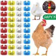 E 50Pcs-10Pc 3 Chicken Foot Ring 1.6Cm Turkeys Quail Multi-Color Numbered Identifiion Leg
