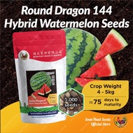 [200g] Benih Tembikai Bulat Merah 144 Round Dragon Soon Huat Seeds