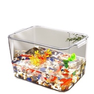 Acrylic Fish Tank Super White Living Room Home Aquarium Turtle Jar Small and Medium Transparent Landscape Set of Fish Gl
