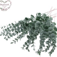 1 Eucalyptus Leaf/Eucalyptus Leaf/Floral Art Gali Money Leaf/Wedding Home Decoration