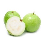 Fresh Fruit - [KLANG VALLEY] Jambu batu / Guava Lohan 2pcs