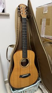 Taylor 木結他