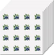 CREATCABIN Pack of 128 Blueberries Cartoon Stickers Fruit Stickers Vinyl Waterproof Self-Adhesive St