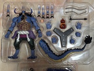 SH Figuarts One Piece Kaido 海賊王 SHF 凱多