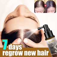 Japan Hair Tonic Rosemary Oil For Hair Growth Essence Hair Treatment Conditioner Minoxidil Anti Hair