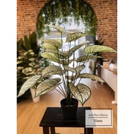 POKOK HIASAN RUMAH ARTIFICIAL SIAP PASU