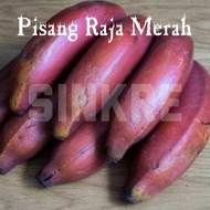 pisang raja merah 1 sisir