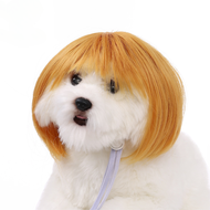 Wig Hewan Anjing Kucing - Pet Wigs Cosplay Hewan Anjing Kucing - Rambut Palsu Hewan Kucing Anjing