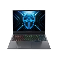 ThundeRobot R15 Gaming Laptop 15.6" 13th Gen Intel i7-13650HX /I7-13650HX /RTX4060/RTX4070,16GB DDR5