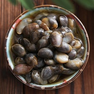 Zhendian Drunk Mud Snail Drunk Yellow Mud Snail Drunk Snail Wild Yellow Mud Snail