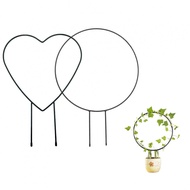 Plant Climbing Rack Shelf Stander Steel Support Trellis 2 Style Frame Fruits