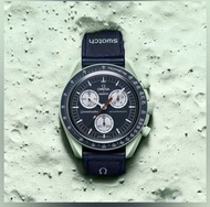 Omega Swatch Mission on Earth