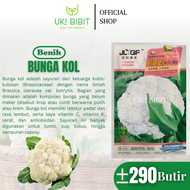 Kemasan Original | Benih Biji Bunga Kol | Kembang Kol | Kol Bunga