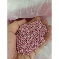 baja buah yara 13-13-21 1kg/pack