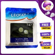 20G LECKAT 747 TIMUN JENIS PUTIH / SYMPHONY CUCUMBER LECKAT PREMIUM F1 HYBRID SEED GWG BIJI BENIH