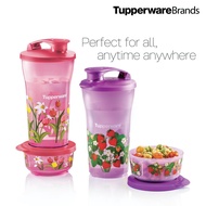 Tupperware Tumbler 800ml/ Lunch Box Dessert Bowl 300ml(Quench &amp; Snack Set) botol air murah botol BPA bekal Tupperware