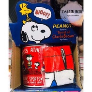 正版授權 日本帶回 花生漫畫 SNOOPY 史努比 陶瓷馬克杯 馬克杯 陶瓷杯 玻璃杯 卡通杯 飲料杯 單耳杯 附小方巾