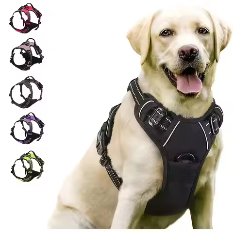 Dog Collars Harness Big Vests Leash Pet Shop Everything for Dogs Leather Puppy Accessories Medium Sm