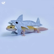 [Reptile Special Attack Team] 24 Hours Reptile Shark Set|Reptile Landscaping|Gecko Landscaping|Gecko