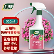 Shangyang Bougainvillea Special Plant Nutrient Solution Dilution-Free500mLGardening Potted Flower Fertilizer Flower Grow