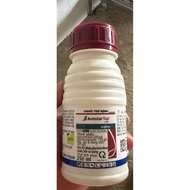 Amistatop 325SC chai 250ml hàng Syngenta nấm bệnh sạch bong