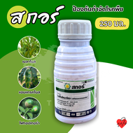 สกอร์ 250 ml (สาร ไดฟีโนโคนาโซล 25% W/V EC) ป้องกันเชื้อรากาบใบไหม้ แอนแทรคโนส ใบจุดสีม่วง