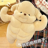 Cute Pillow Plush Toy Muscle Dog Funny Hug New Style Large Bed Cushion Poodle Birthday Gift Dog JHI5
