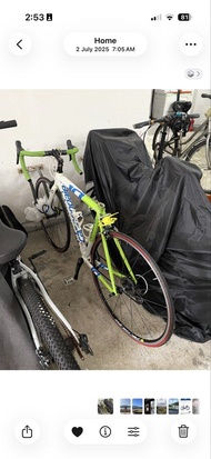 Size 48 【經典鋁王】Cannondale CAAD10