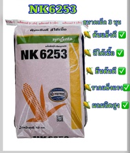 เมล็ดพันธุ์ข้าวโพด เอ็นเค NK 6253 ขนาดเม็ด 3 หุน (10 กก.) พันธุ์สุดฮิต!!! ต้นแข็งดี สีได้เนื้อ ทนทาน