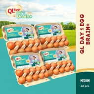 QL Brain+  Day 1 Egg - Medium 40pcs Fresh Egg Farm Fresh Egg Telur Segar