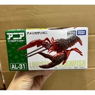 AL-31 American Crayfish for children from 3 years old