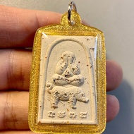 Thailand Amulet LP RAK 2562 Pig Riding Pitda Waterproof Case Pendant