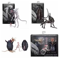 NECA Alien Alien Alien Alien Alien Alien Alien Egg Alien Egg Joint Movable Model Box