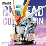 0514 (預購)25年8月 BANDAI 代理版 BN HEAD COLLECTION 鋼彈SEED 振揚自由鋼彈