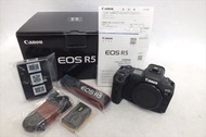 Canon EOS R5 無反光鏡單眼相機 附說明書 附原廠盒 已通電 二手