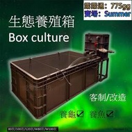 SY精品  養殖箱 新款  烏龜箱 週轉箱 魚缸 生態缸 魚菜共生 沈水馬達 周轉箱 過濾箱