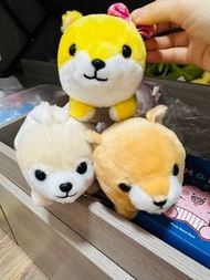 豆柴三兄弟