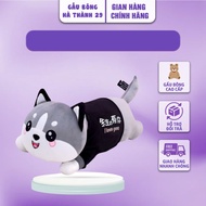 Round Face Cat Teddy Bear Ha Thanh Shop Teddy Bear - Super Huge, Soft Husky Cat Teddy Bear.