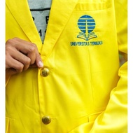 Almamater UNIVERSITY OPENED UT STUDENTS