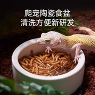 Reptile Pet Box for Horned Frogs, Spiders, Geckos, Escape-Proof Ceramic Feeding Bowl, Breadworms, Cr