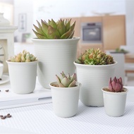 Succulent bowl long bowl deep thickened plastic flower pot succulent flower pot green plant pot planting pot 花盆 多肉花盆