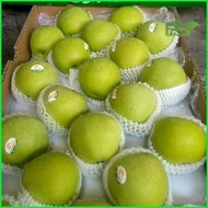 Apel Hijau Granny Smith Green Apple Fresh Import Per Dus Original Best