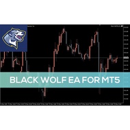 Black Wolf EA MT5 - EURUSD, GBPUSD, EURAUD, AUDJPY