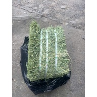 Delicious Whole Dried Timothy Grass for Rabbits, Guinea Pigs, Guinea Pigs, Chinchillas Package 1kg 2