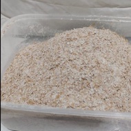 Tepung Gandum Utuh Whole-wheat. Gandum KOMPLET Balastra Import asli Ge