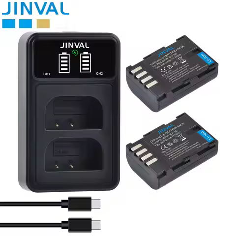 JINVAL 2400mAh DMW-BLF19 Camera Battery BLF19 DMW-BLF19E Batteries + PD20W Fast Dual Charger For Pan