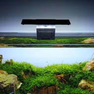 Fish tank LED light for 1ft, 1.5ft or 2ft fish tank.